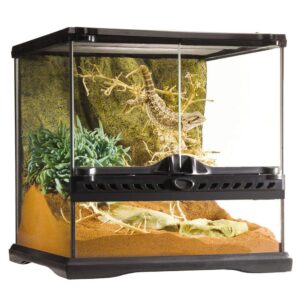 Premium Reptile Terrarium Kit