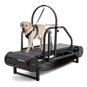 Professional Dog Treadmill