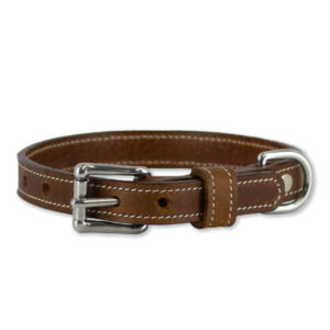 Designer Leather Dog Collar (Premium)